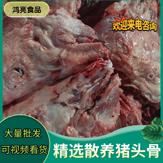 生猪头骨新鲜猪头骨大量批发新鲜批发猪肉骨炖汤