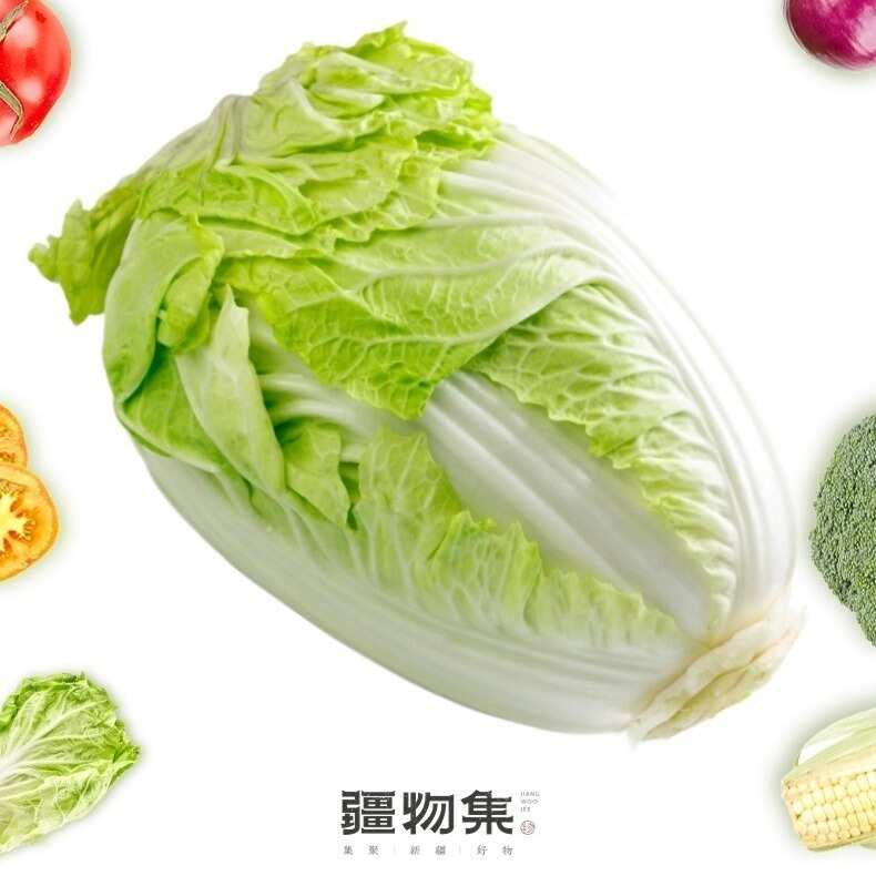 顺丰京东包邮~新疆巴州博湖县大白菜