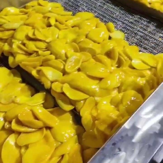 越南芒果干，一级二级碎片，一手货源