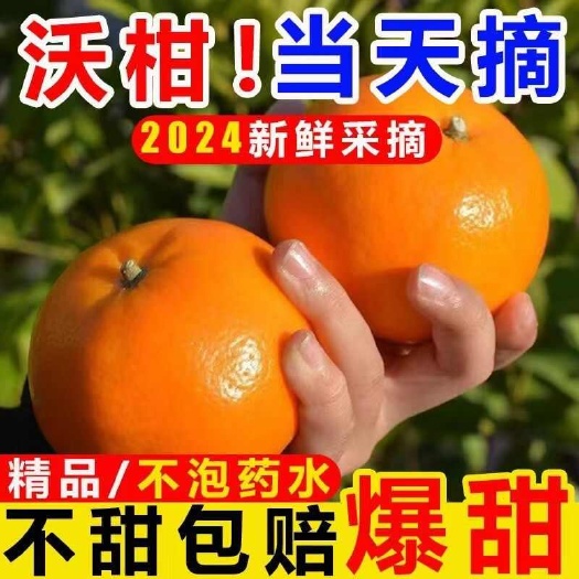 南宁广西南宁沃柑，产地直发，量大从优，可视频看货