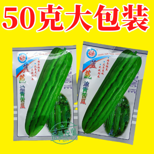 蓝蔬油青苦瓜种子50克大包装耐热耐寒多肉苦瓜种籽翠玉绿色苦瓜