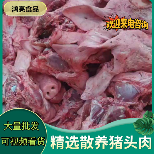 重庆市去骨生猪头新鲜去骨生猪头肉 生扣猪头肉 原色白猪头