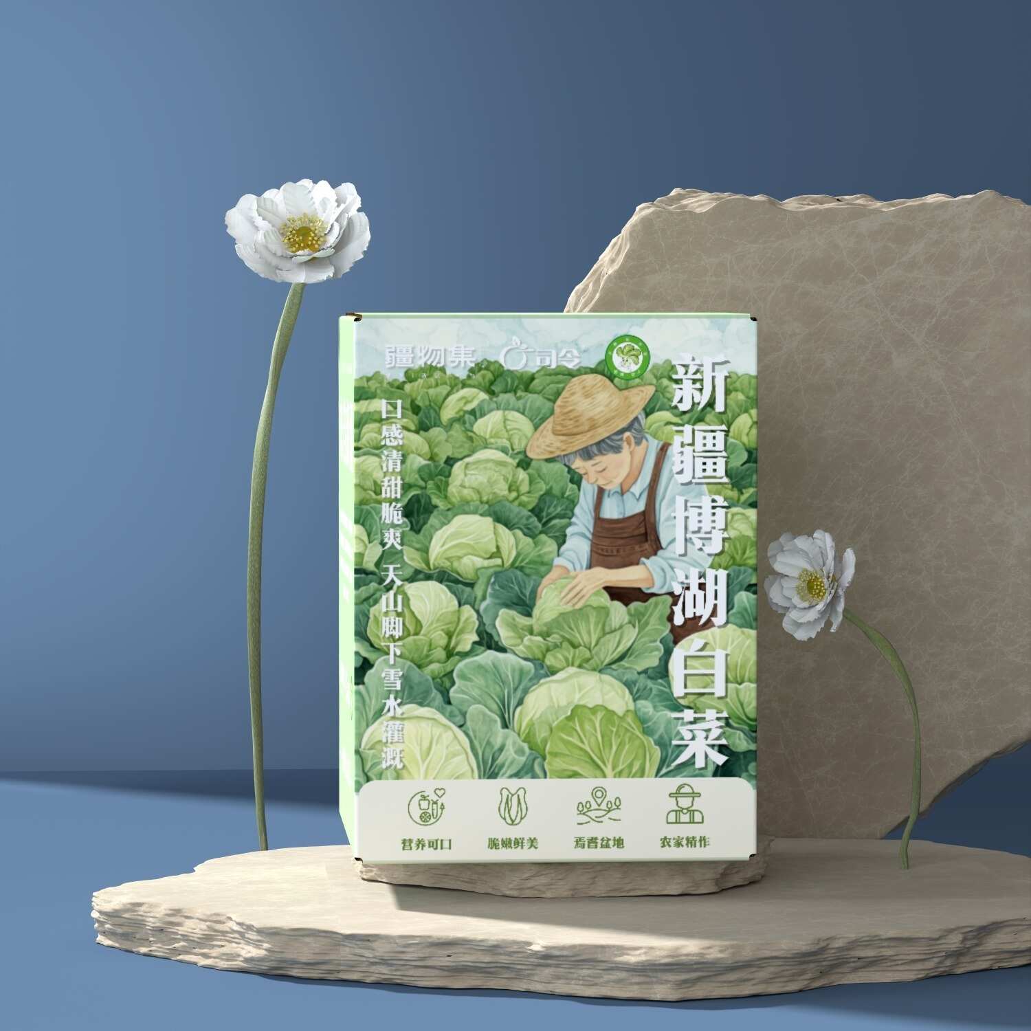 顺丰京东包邮~新疆巴州博湖县大白菜