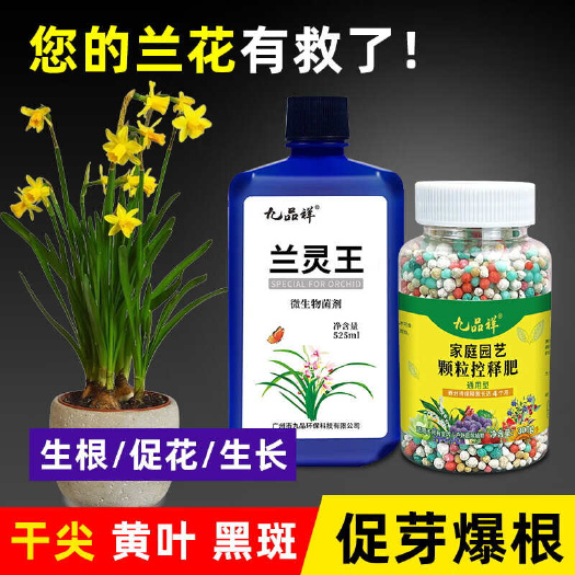 九品祥兰灵王兰花用肥长效缓释肥 君子墨兰促开花兰科植物控释颗