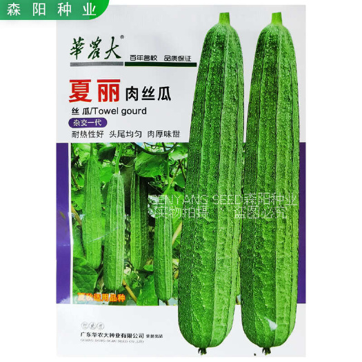 华农大夏丽肉丝瓜种子早熟耐热棱丝瓜春夏秋翠丽丝瓜水瓜八棱丝瓜