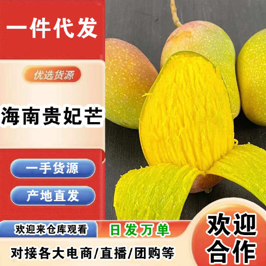 海南贵妃芒一件代发产地直发一手货源对接各大电商平台