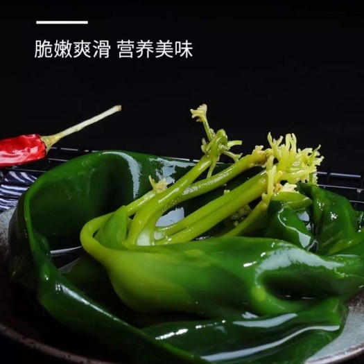 原装海带苗霞浦嫩非特级非干货新鲜海带芽盐渍嫩苗凉拌菜火锅商用