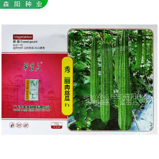 华农大秀丽肉丝瓜种子耐热高产早熟强雌八角棱丝瓜春夏秋翠丽水瓜