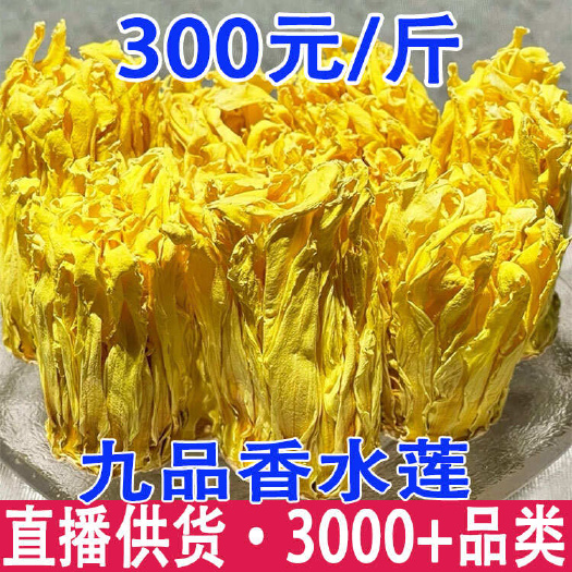 昆明九品香水莲花干花睡莲干花黄色蓝莲花干花苞睡莲干花苞金色香水莲