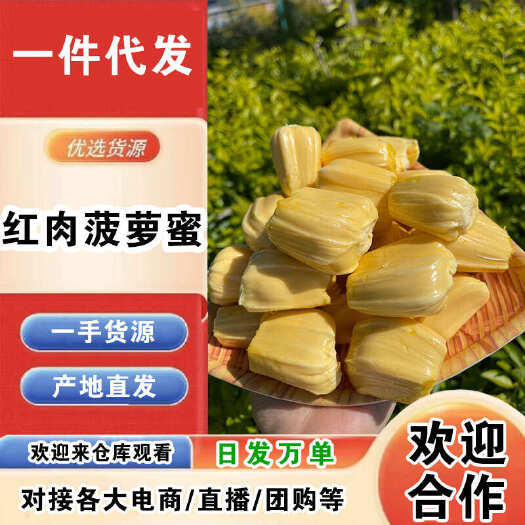 万宁市海南红肉菠萝蜜一件代发产地直发一手货源对接各大电商平台