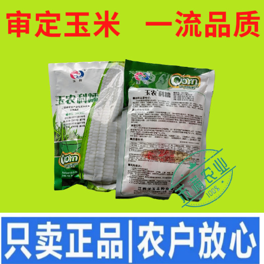 武汉基地品质国审品种白糯玉米种子 甜糯型 粘糯香甜白色玉米种子
