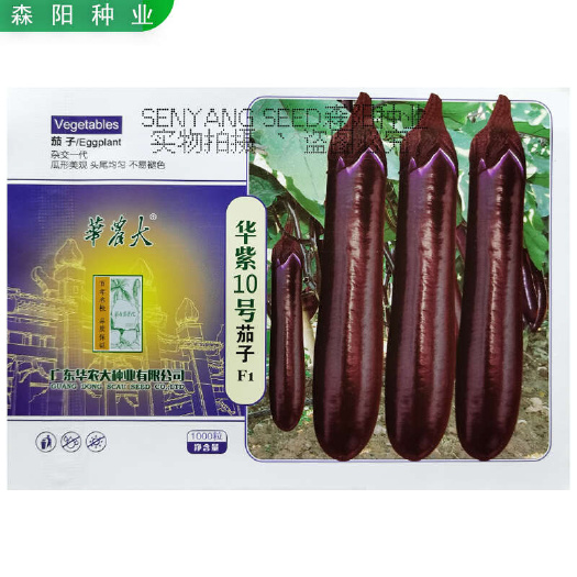 华紫10号茄子种子中熟长棒茄真糯烧烤茄耐热耐寒春秋季茄籽华农