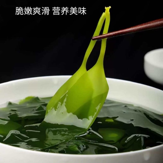 海带苗鲜嫩特级新鲜火锅专用凉拌嫩苗速食汤