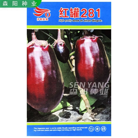 常德济南茄果红罐281茄子种子紫红圆茄油罐茄籽杂交种春茄早玉灯泡