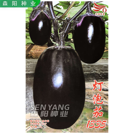 常德济南茄果灯泡茄1335茄子种子广红茄一号长野黑美烧烤骄子优早