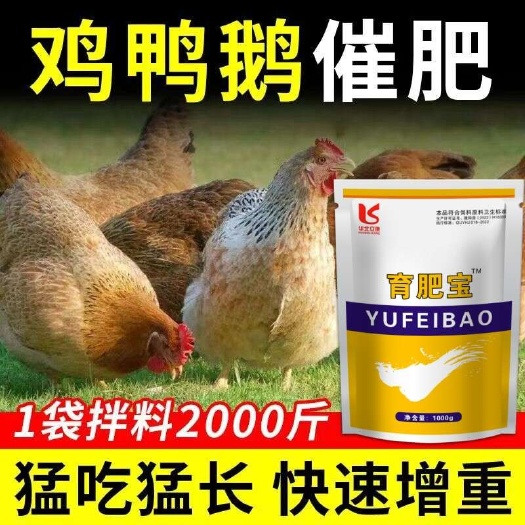 家禽催肥宝鸡鸭鹅禽类专用催肥促长厂家直销正品育肥宝饲料添加剂