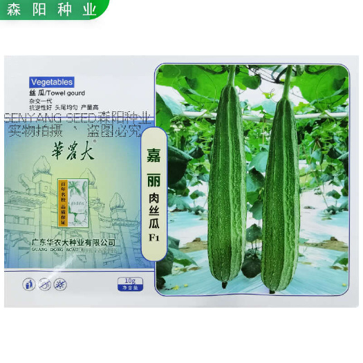 华农大嘉丽肉丝瓜种子高产抗病耐热耐寒八棱丝瓜早熟花点水瓜夏丽