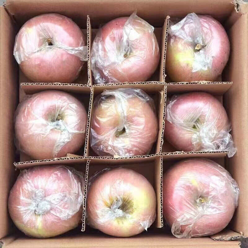 陕西老树糖心富士苹果膜袋水果丑苹果5斤/10斤装一件代发