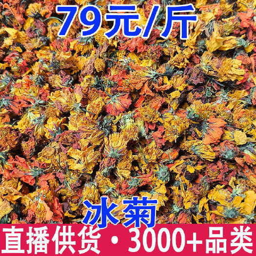冰菊  冰山红雪菊 臧红菊 一手货源 量大从优