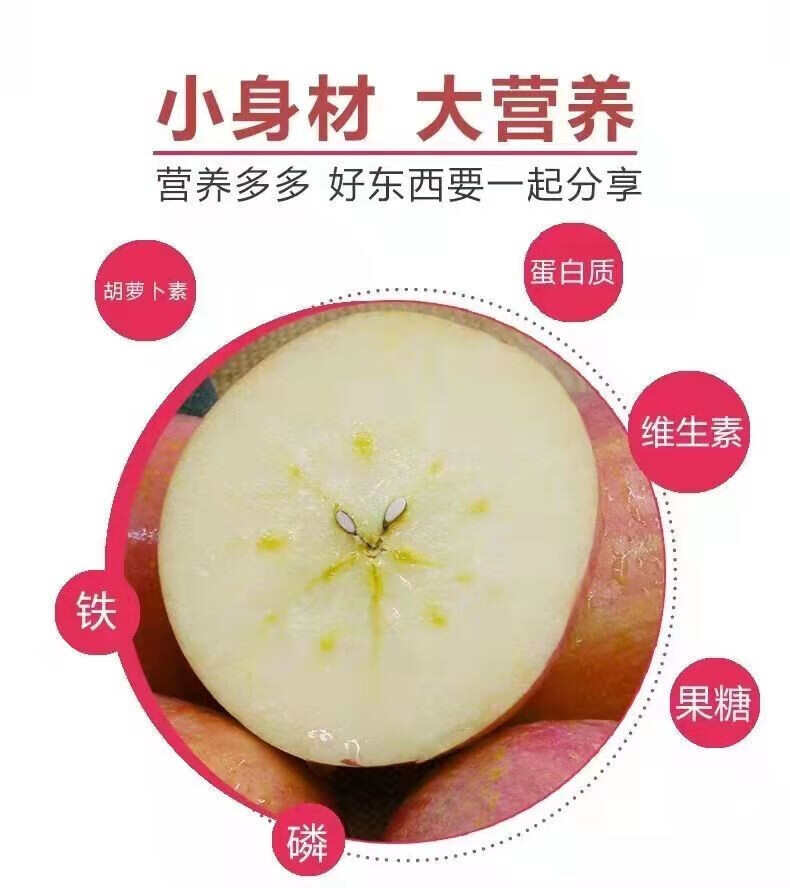 陕西老树糖心富士苹果膜袋水果丑苹果5斤/10斤装一件代发