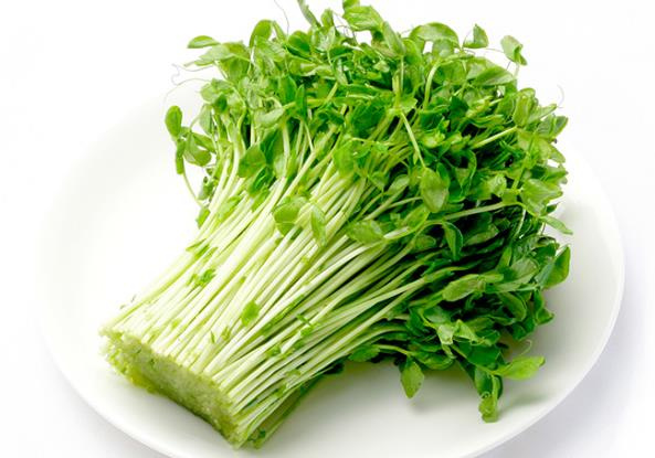 青岛新鲜采摘豌豆苗绿色蔬菜