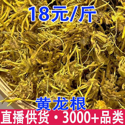 昆明雪灵茶 金龙根 黄龙根  一件代发 量大从优