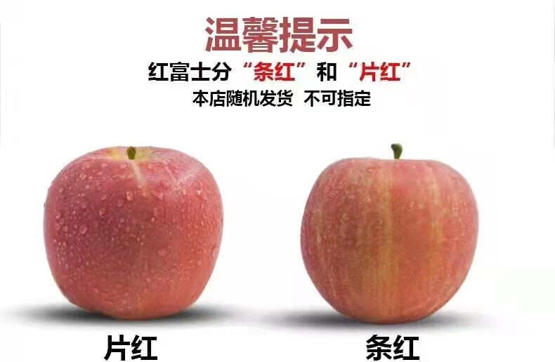 陕西老树糖心富士苹果膜袋水果丑苹果5斤/10斤装一件代发