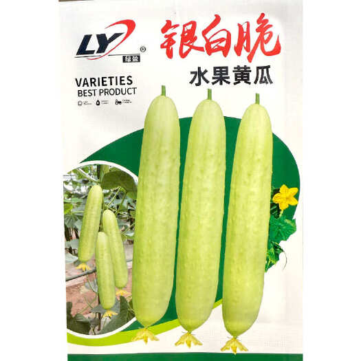 银白脆水果黄瓜种子 嫩绿偏白 刺溜少 脆甜无渣