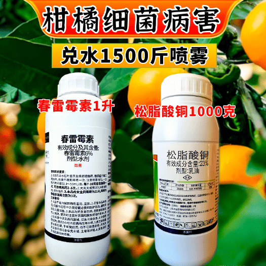 潍坊柑橘细菌病害杀菌套餐松脂酸铜春雷霉素溃疡病