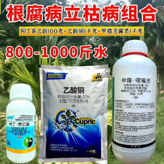 潍坊根部病害杀菌套餐根腐病烂根发黑腐烂茎基腐病槟榔柑橘果蔬