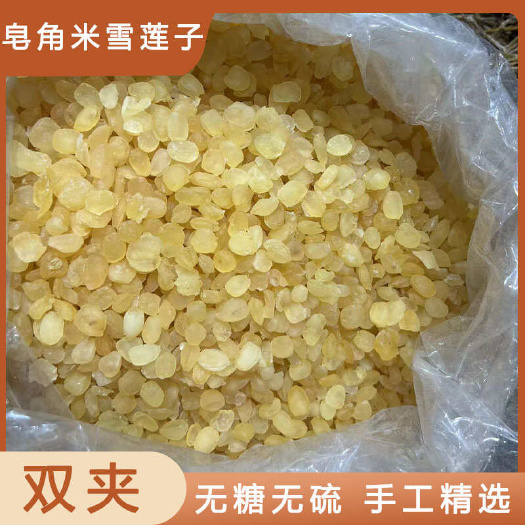 皂角米中药材店铺药材大全正品实体店品质批发大货专卖可打粉