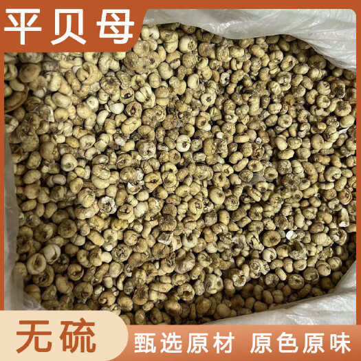 安国市平贝母  中药材店铺药材大全正品实体店品质批发大货专卖可打粉
