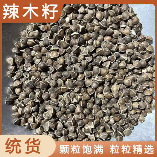 安国市辣木籽中药材店铺药材大全正品实体店品质批发大货专卖可打粉