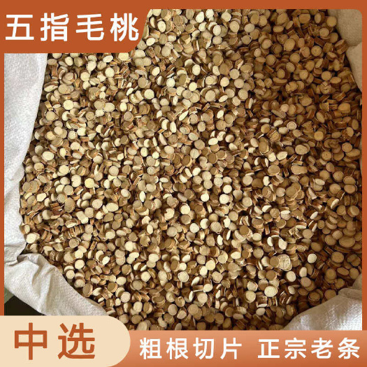安国市五指毛桃中药材店铺药材大全正品实体店品质批发大货专卖可打粉