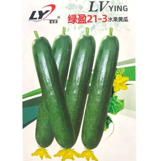 建瓯市绿盈水果黄瓜种子 全雌型 节间短 瓜码密 节节有瓜 脆甜