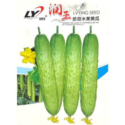 建瓯市润玉脆甜水果黄瓜种子 节节有瓜 刺瘤少 味甜浓香 无渣