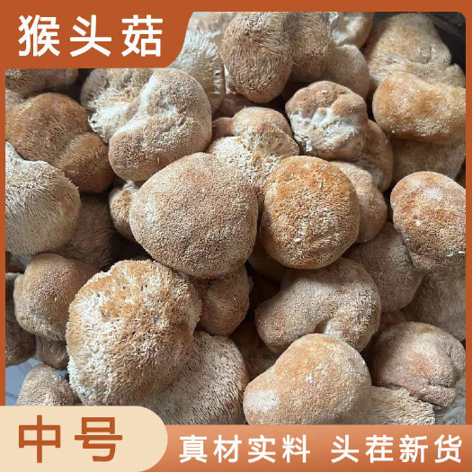 猴头菇中药材店铺药材大全正品实体店品质批发大货专卖可打粉