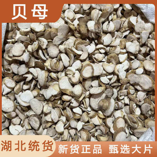 安国市贝母中药材店铺药材大全正品实体店品质批发大货专卖可打粉