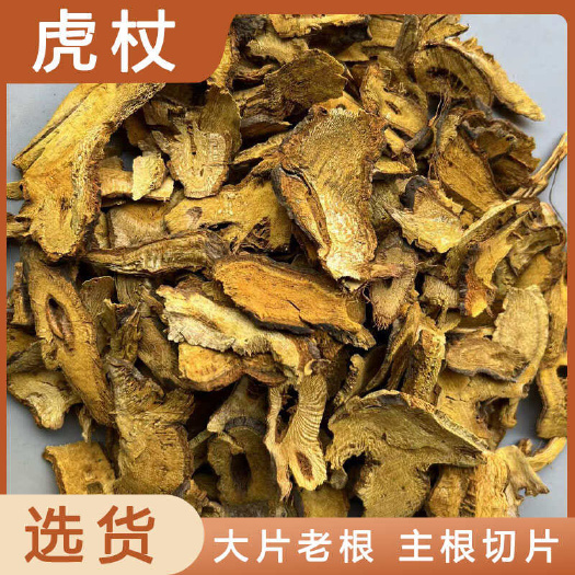 安国市虎杖中药材店铺药材大全正品实体店品质批发大货专卖可打粉