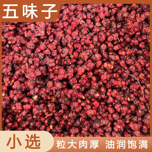 安国市五味子中药材店铺药材大全正品实体店品质批发大货专卖可打粉