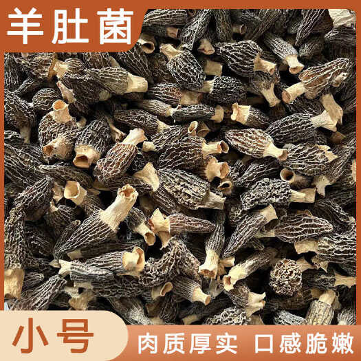 安国市羊肚菌中药材店铺药材大全正品实体店品质批发大货专卖可打粉