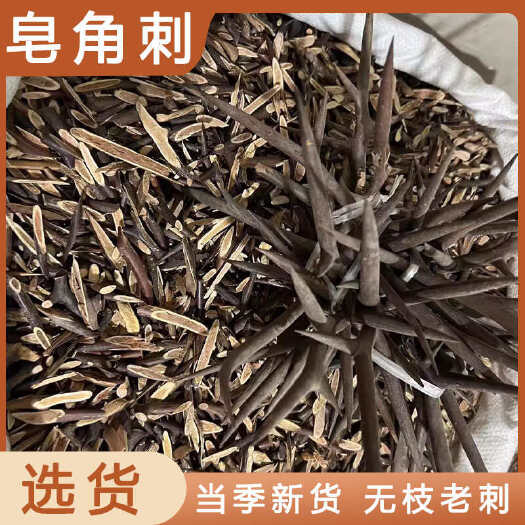 安国市皂角刺中药材店铺药材大全正品实体店品质批发大货专卖可打粉