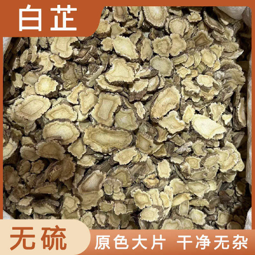 安国市白芷中药材店铺药材大全正品实体店品质批发大货专卖可打粉