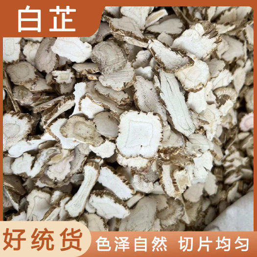 安国市白芷中药材店铺药材大全正品实体店品质批发大货专卖可打粉