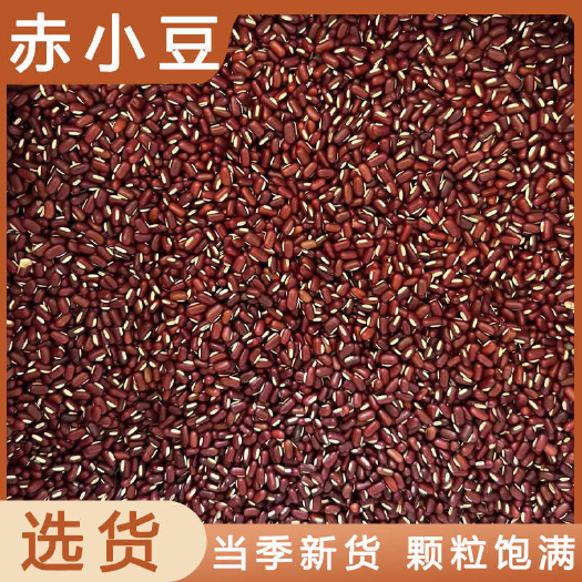 安国市赤小豆中药材店铺药材大全正品实体店品质批发大货专卖可打粉