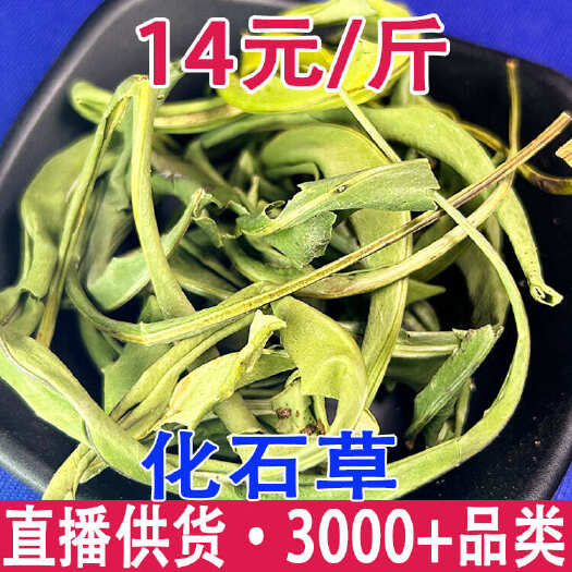 化石草 大叶化石草 肾精茶 结石茶 肾精草 黄金草 产地货源