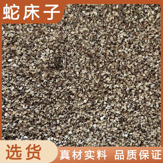 安国市蛇床子中药材店铺药材大全正品实体店品质批发大货专卖可打粉
