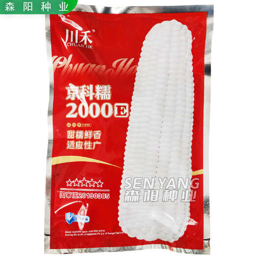 常德京科糯2000E甜糯玉米杂交种子非转基因国审鲜食玉米美玉27