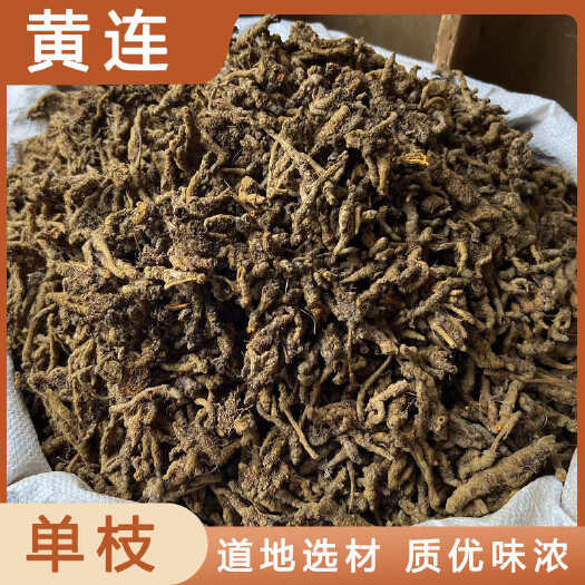 安国市黄连中药材店铺药材大全正品实体店品质批发大货专卖可打粉
