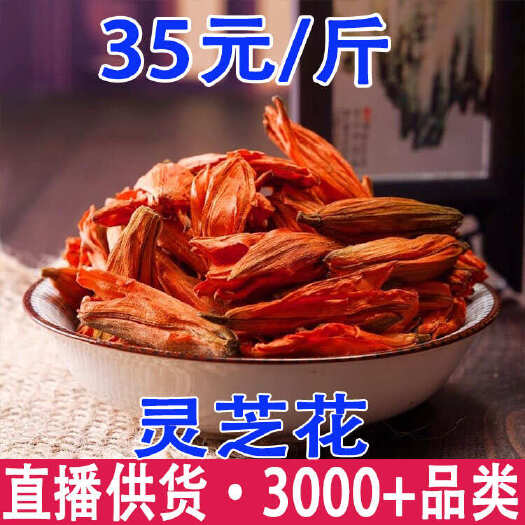 灵芝花 新疆摩罗花 灵芝花茶 产地货源